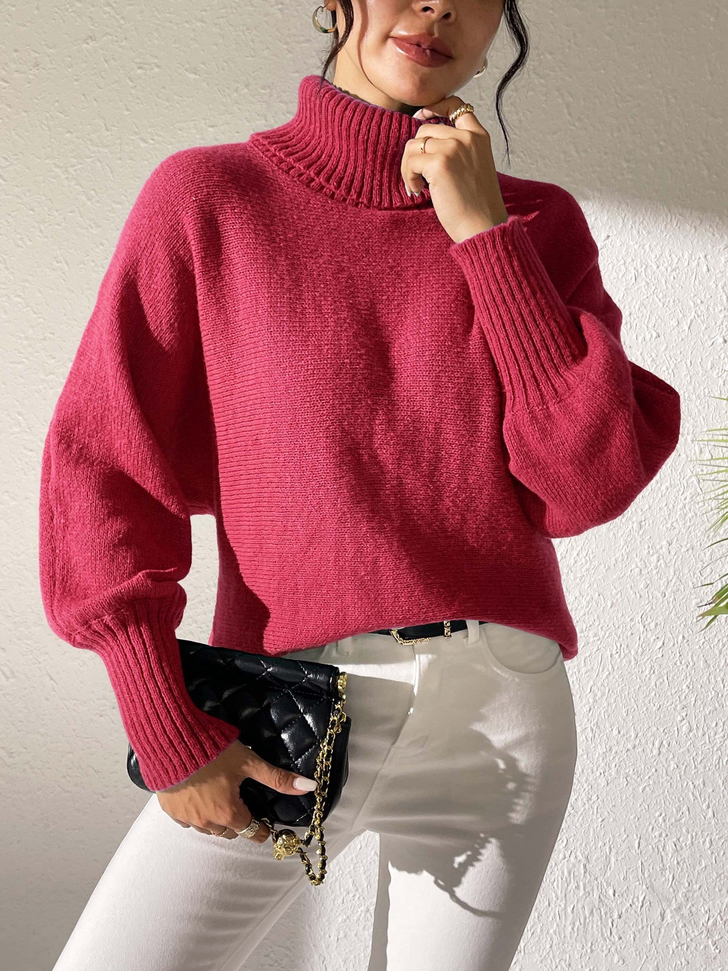 Women Turtle Neck Long Sleeves Pullover Sweaters