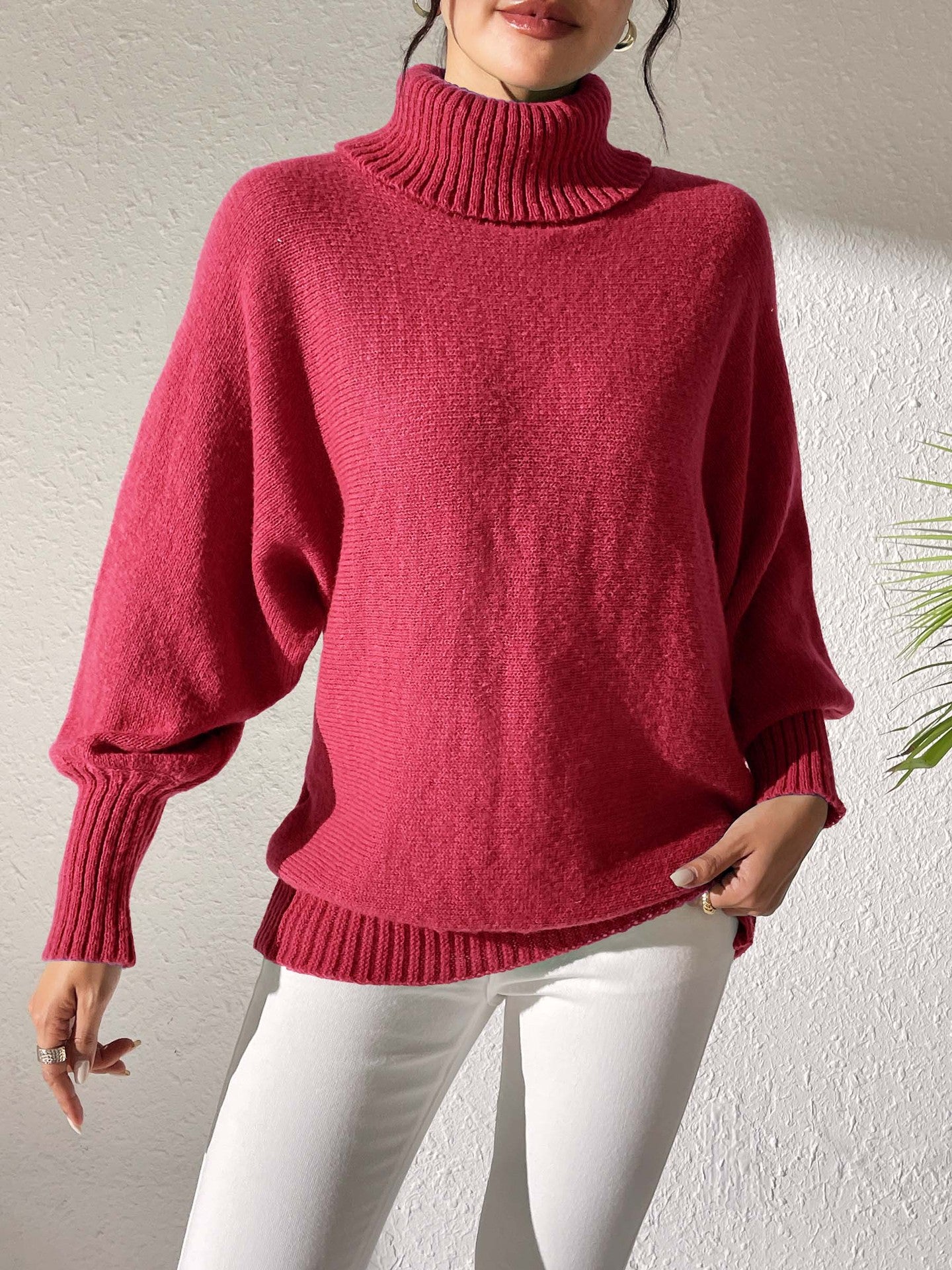 Women Turtle Neck Long Sleeves Pullover Sweaters