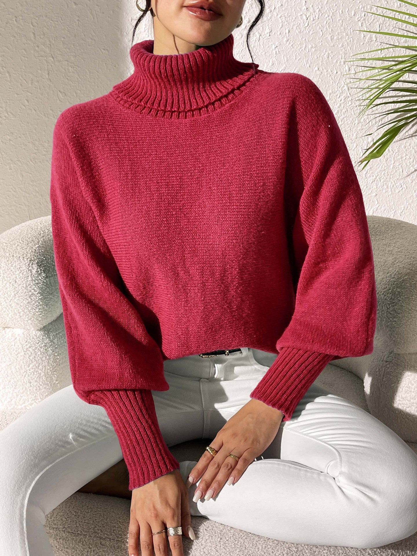 Women Turtle Neck Long Sleeves Pullover Sweaters