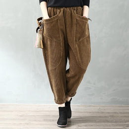 Women Mid-Rise Easy Wash Pleated Regular Trousers